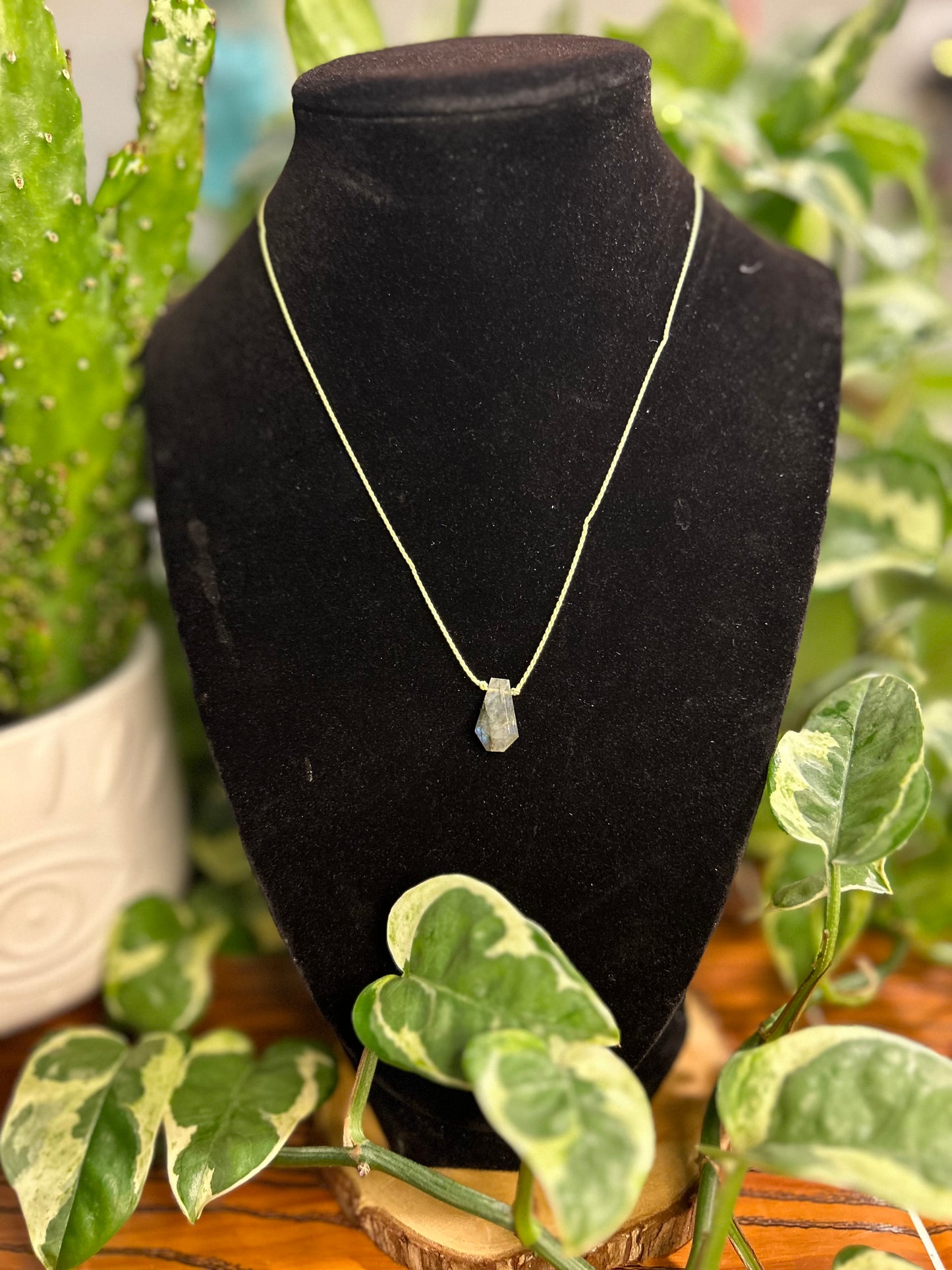 Labradorite Coffin Necklace - LIMITED EDITION